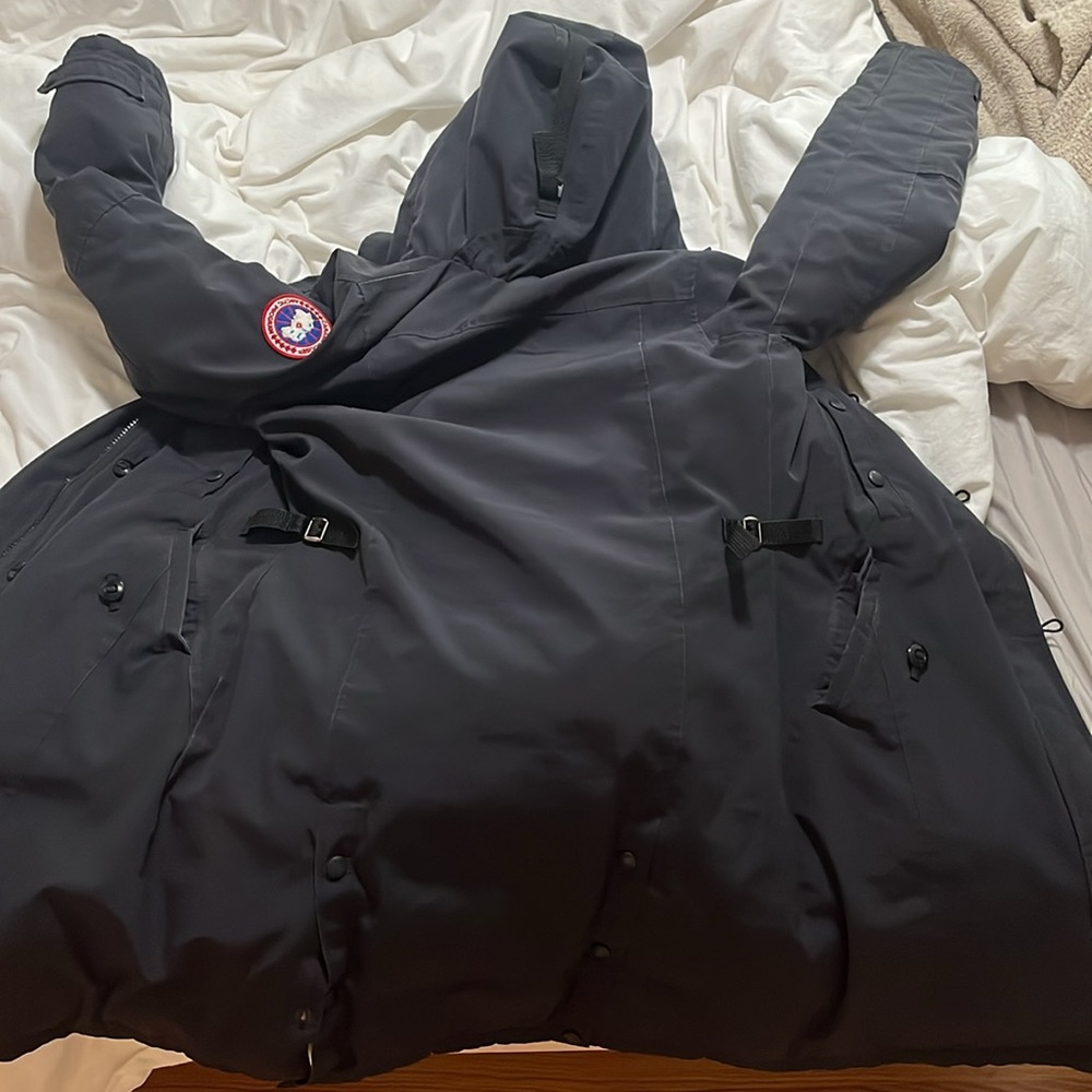 Canada goose - Picture 7 of 9